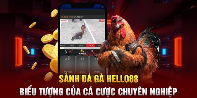 Tổng quan về đá gà Hello88 đình đám